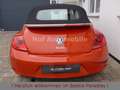 Volkswagen Beetle 1.2 Club Plus Xenon "original 8.000 Km" Orange - thumbnail 6