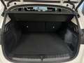 BMW X1 sDrive 20i TETTO APRIBILE Blanc - thumbnail 14