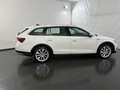 Skoda Octavia Scout 2.0 TDI 4x4 DSG *LED*AHK*NAVI* Weiß - thumbnail 5