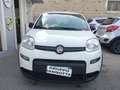 Fiat Panda PANDA 1.0 HYBRID S SOLO KM 12370 GARANZIA FIAT Weiß - thumbnail 2