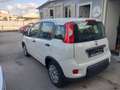 Fiat Panda PANDA 1.0 HYBRID S SOLO KM 12370 GARANZIA FIAT Weiß - thumbnail 4