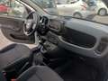 Fiat Panda PANDA 1.0 HYBRID S SOLO KM 12370 GARANZIA FIAT Weiß - thumbnail 9