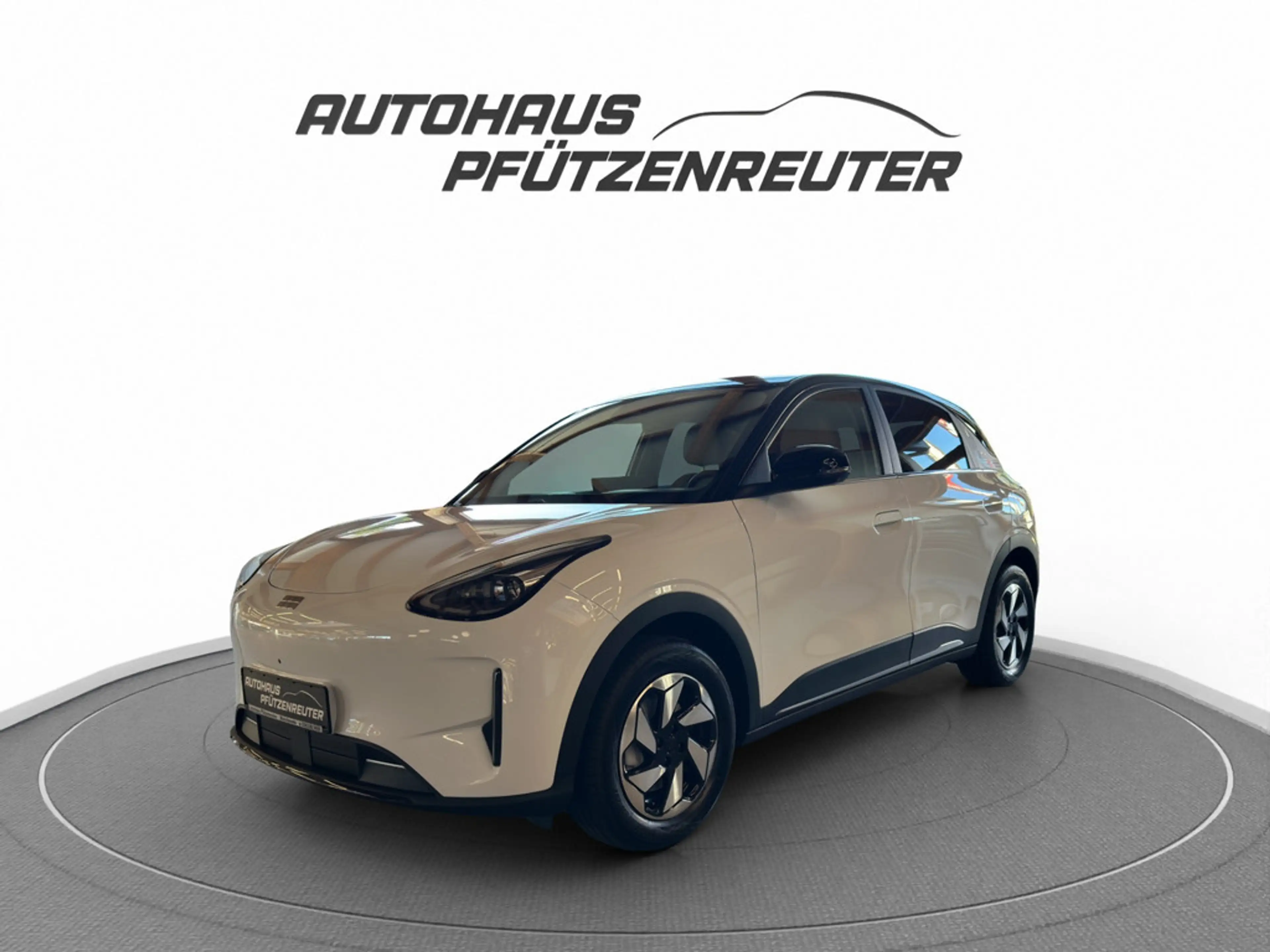 Geely Others