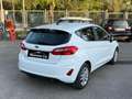Ford Fiesta Ford Fiesta 1.5 EcoBlue 5 porte Plus Blanc - thumbnail 19