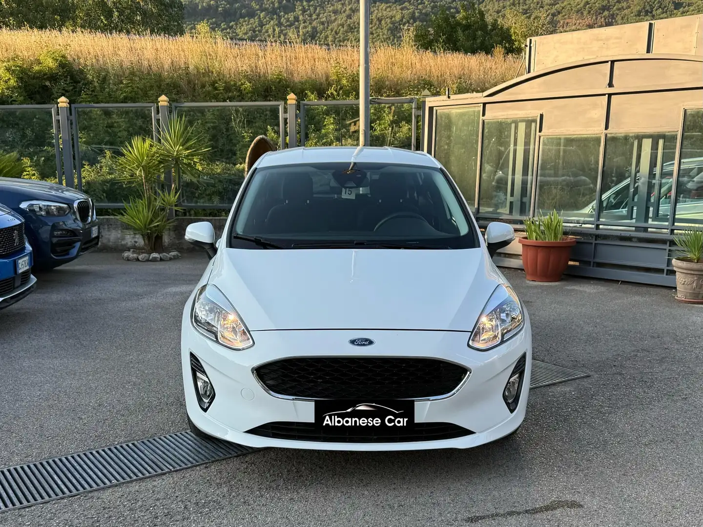 Ford Fiesta Ford Fiesta 1.5 EcoBlue 5 porte Plus Bianco - 2
