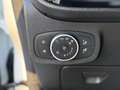 Ford Fiesta Ford Fiesta 1.5 EcoBlue 5 porte Plus Bianco - thumbnail 6