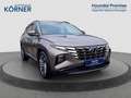 Hyundai TUCSON EDITION 30+ 1.6 T-GDi (+48V) *AHK*KRELL*CARPLAY*NA Braun - thumbnail 1