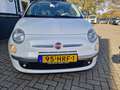 Fiat 500 1.2 LOUNGE Panorama  Airco LM 15  Zeer goed, klein Blanc - thumbnail 6