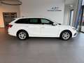 Skoda Octavia Combi 2,0 TDI Style, Anhängevorrichtung, Head-up Weiß - thumbnail 6