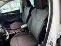 Skoda Octavia Combi 2,0 TDI Style, Anhängevorrichtung, Head-up Weiß - thumbnail 9