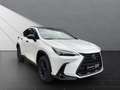 Lexus NX 450h+ AWD*OVERTRAIL*PANORAMA*15 JAHRE GARANTIE Weiß - thumbnail 6