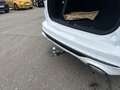 Ford Kuga 2,5 Duratec FHEV ST-Line X Allrad Aut.*Vollauss... Weiß - thumbnail 16
