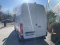 Mercedes-Benz Sprinter Mercedes-Benz L2 – nur 26.756 km! Weiß - thumbnail 10