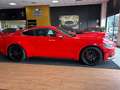 Ford Mustang Fastback 2.3 EcoBoost Automatica Full Rood - thumbnail 3