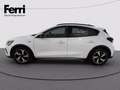 Ford Focus Active 1.0t ecoboost h 125cv Bianco - thumbnail 3