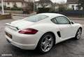 Porsche Cayman s 3.4 295 ch carnet d'entretien complet Blanc - thumbnail 5