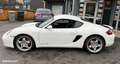 Porsche Cayman s 3.4 295 ch carnet d'entretien complet Blanc - thumbnail 8