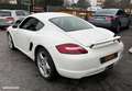Porsche Cayman s 3.4 295 ch carnet d'entretien complet Blanc - thumbnail 7