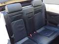 Volkswagen New Beetle CABRIO 1.6 FL 102CV UNICO PROPRIETARIO ONLY PROMO Beige - thumbnail 14