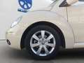 Volkswagen New Beetle CABRIO 1.6 FL 102CV UNICO PROPRIETARIO ONLY PROMO Beige - thumbnail 17