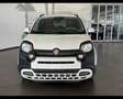 Fiat Panda 1.0 FireFly 65 CV Hybrid Cross Weiß - thumbnail 2