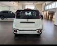 Fiat Panda 1.0 FireFly 65 CV Hybrid Cross Weiß - thumbnail 5