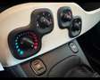 Fiat Panda 1.0 FireFly 65 CV Hybrid Cross Weiß - thumbnail 7