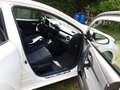 Toyota Auris Auris Hybrid 1.8 VVT-i Hybrid Automatik Edition S+ Weiß - thumbnail 12