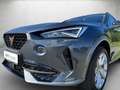 CUPRA Formentor 1.5 TSI *Kamera* Grau - thumbnail 4