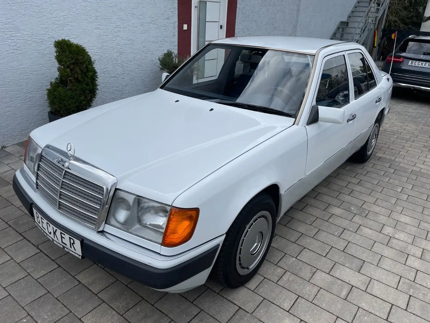 Mercedes-Benz 250 D Automatik Klima Standh.1-Hand Scheckh.AHK Weiß - 1