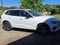 Volvo XC60 B4 D Geartronic RDesign,1.Hd, leder, AHK, Weiß - thumbnail 3