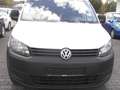 Volkswagen Caddy Caddy TDI 1.6 TDI MAXI .KASTEN.LKW. KLIMA.1 HAND. Weiß - thumbnail 5