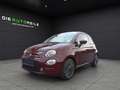 Fiat 500 Klima PDC Panora. CarPlay Mauve - thumbnail 1