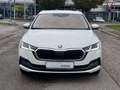 Skoda Octavia OCTAVIA COMBI 1.4 eTSI FIRST EDITION iV | HUD Weiß - thumbnail 3