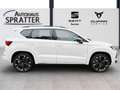 CUPRA Ateca 2.0 TSI 4Drive DSG NAVI ACC AHK Pano Beats Bianco - thumbnail 23