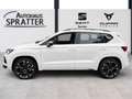 CUPRA Ateca 2.0 TSI 4Drive DSG NAVI ACC AHK Pano Beats Bianco - thumbnail 16