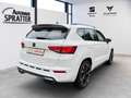 CUPRA Ateca 2.0 TSI 4Drive DSG NAVI ACC AHK Pano Beats Bianco - thumbnail 22