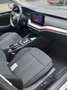 Skoda Octavia Octavia SW CNG 1.5 TSI G-TEC Clever+ DSG Zilver - thumbnail 10