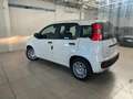 Fiat Panda Panda pop 1.0  hybrid Pop NUOVA DA IMMATRICOLARE Weiß - thumbnail 4