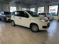 Fiat Panda Panda pop 1.0  hybrid Pop NUOVA DA IMMATRICOLARE Weiß - thumbnail 2