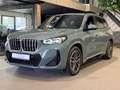 BMW X1 xDrive30e High Executive M-Sport | Panorama | HUD Grün - thumbnail 35