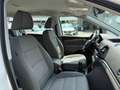 SEAT Alhambra Business 2,0 TDI CR Blanc - thumbnail 26
