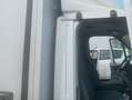 Ford Transit buono stato Bianco - thumbnail 7