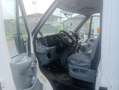 Ford Transit buono stato Bianco - thumbnail 3