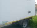 Ford Transit buono stato Bianco - thumbnail 5