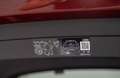 Audi A5 A5  2.0TDI Black line quattro S tronic 150kW Black line Rojo - thumbnail 7