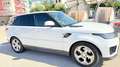 Land Rover Range Rover Sport Range Rover Sport 3.0SDV6 HSE Aut. 249 HSE Blanco - thumbnail 2