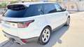 Land Rover Range Rover Sport Range Rover Sport 3.0SDV6 HSE Aut. 249 HSE Blanco - thumbnail 7