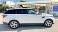 Land Rover Range Rover Sport Range Rover Sport 3.0SDV6 HSE Aut. 249 HSE Blanco - thumbnail 8