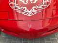 Pontiac Firebird 3.1 Rosso - thumbnail 2